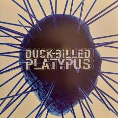 Duck-Billed-Platypus