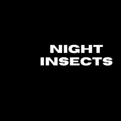 Night Insects