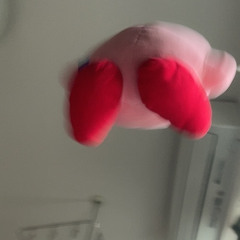 ミニマリストの家
