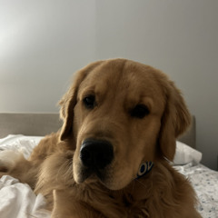 Chuck