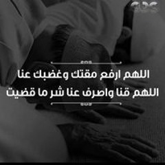 Bosy El Behery