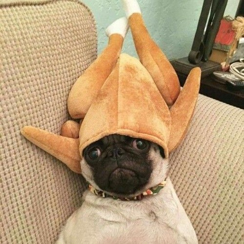 кручу верчу - паранойя