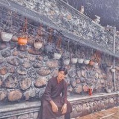 Phong Vũ