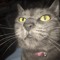 TH3CrAzYCaT