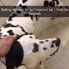 Big Salami Slopper