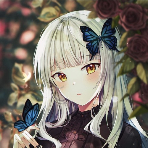 owuqi’s avatar