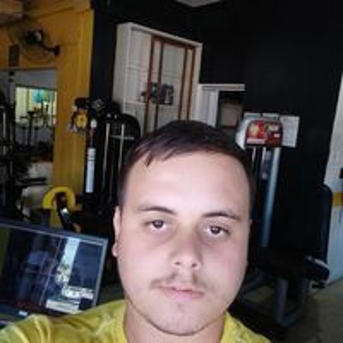 Flavio Niser’s avatar