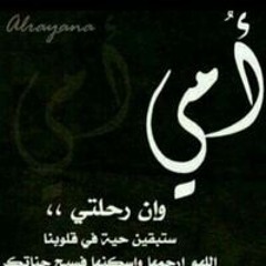 Mohamed Kamel Basha