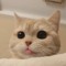 뭐