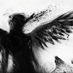 zxc1qwwwerr solaospwqzx