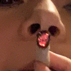 arixxa