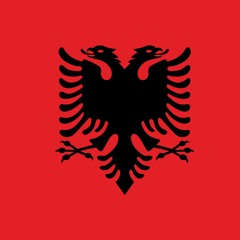 THE ALBANIAN INSTITUTE OF AI