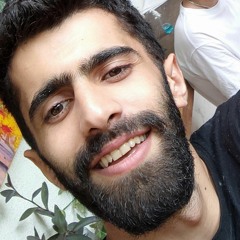 mobinlotfi