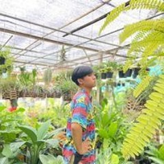 Pawit Ampornpiriyakul