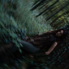 𝓕𝓸𝓻𝓮𝓼𝓽𝓢𝓸𝓾𝓵