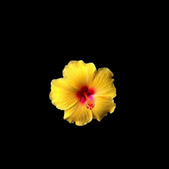 ❥