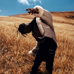 Travis Scott (Unreleased)