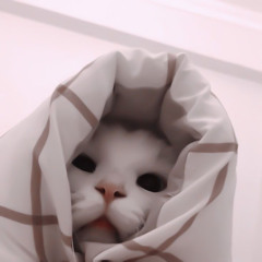 Quyên