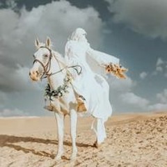 Alshimaa Ashirf Abd Elnaby