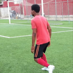 METTELUS NELSON CHERY