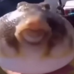Vaingloria