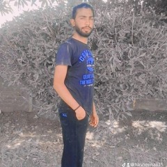 Malik Ali