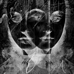 Քաոսի ձայնը