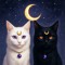 Moonloldoon.22