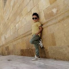 محمد السعدني