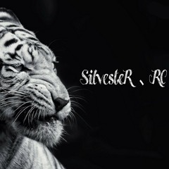Silvester_rc