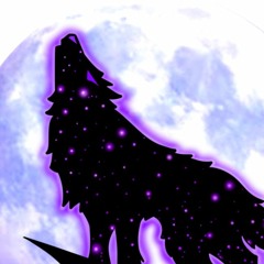 DJ SilentWolf