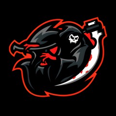 ZoroXion YT