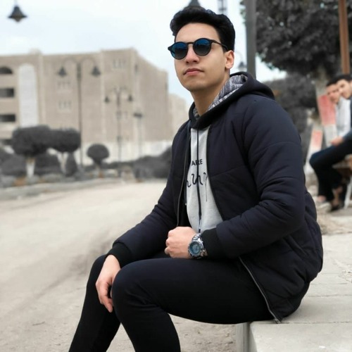 AHMED EL GOHARY visual data 2