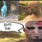 nort yon