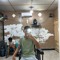 PLIPO GINTING