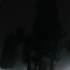 LILSADGOON