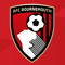 Denis Gonzalez-andin Bournemouth