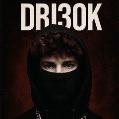 DRI30K#PGA