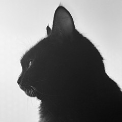 windowcat