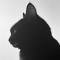 windowcat