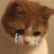 dead inside