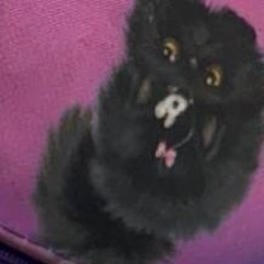 я потерялся в лесу пока искал закладку