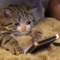User 377087344