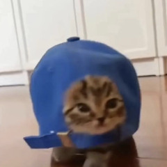 ⟢