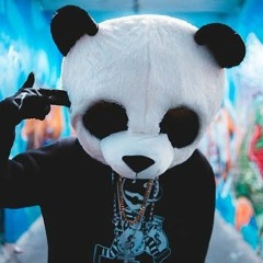 🐼 Panda 🐼