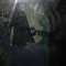 axrip_9