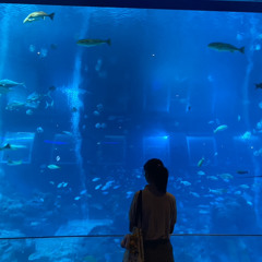 Copy of Hymns in the Lord's Recovery