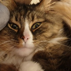 Лидия Калими