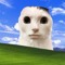 TheCoolerMatthew