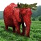 strawberry elphent